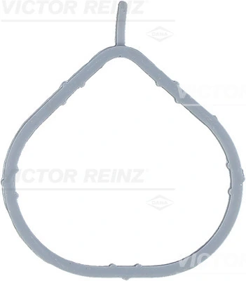 Gasket, intake manifold